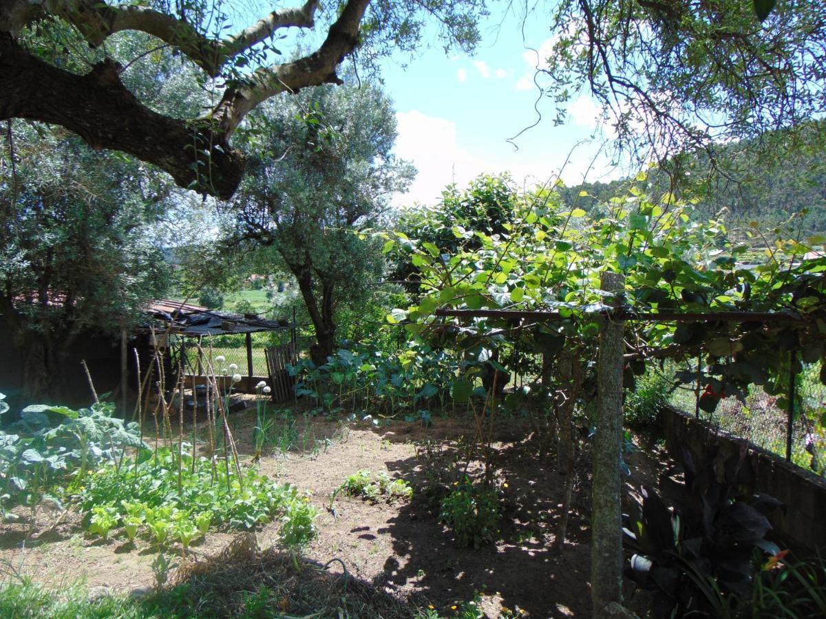 Casa Rebelo Guest House Cossourado  Exterior foto